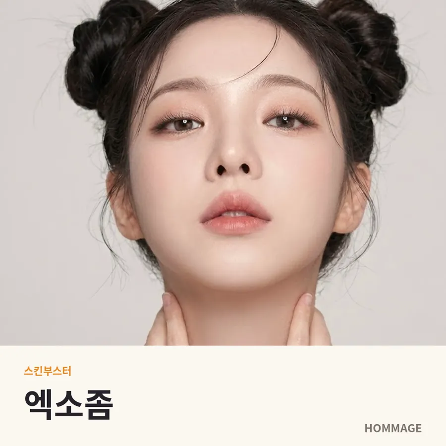 논현역 엑소좀