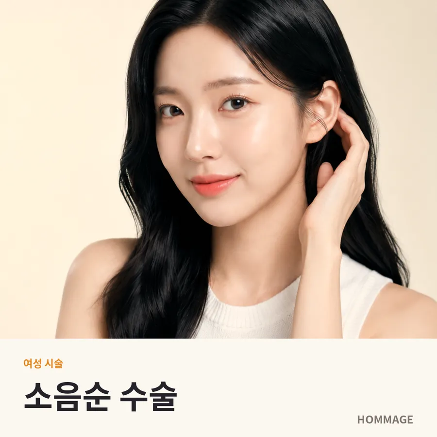 논현역 소음순 수술